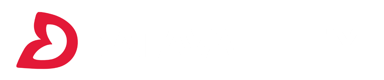 Datavalley Logo